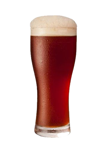 Coopers IPA