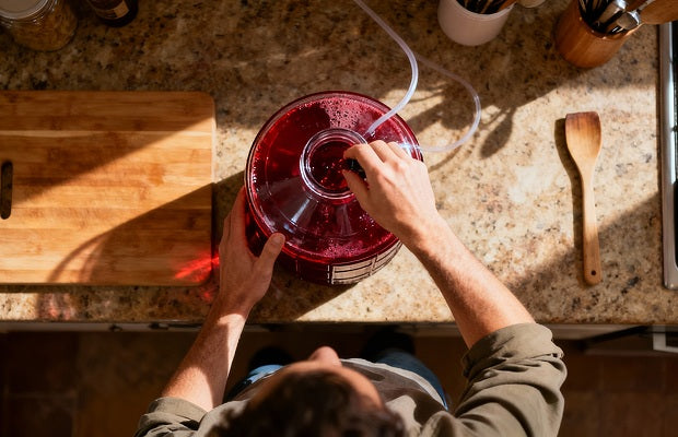 Service de vinification 6-8 semaines