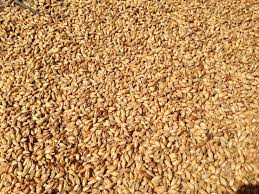 Flocons de riz