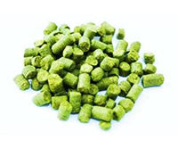 Houblon GALAXIE