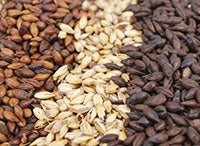 Malt Caramel Vienne 20L